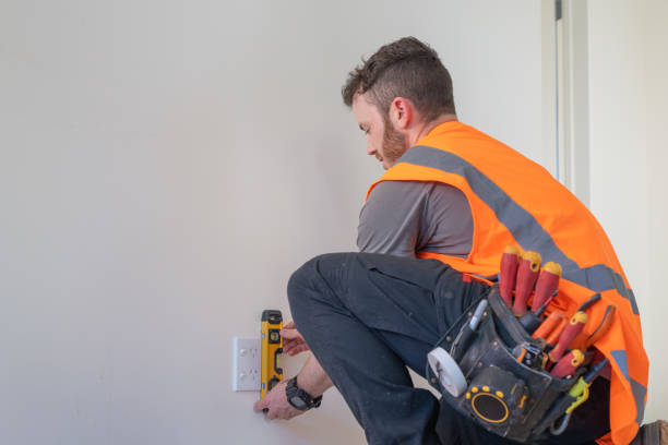 Best Ceiling Fan Installation Electrician  in Western Springs, IL